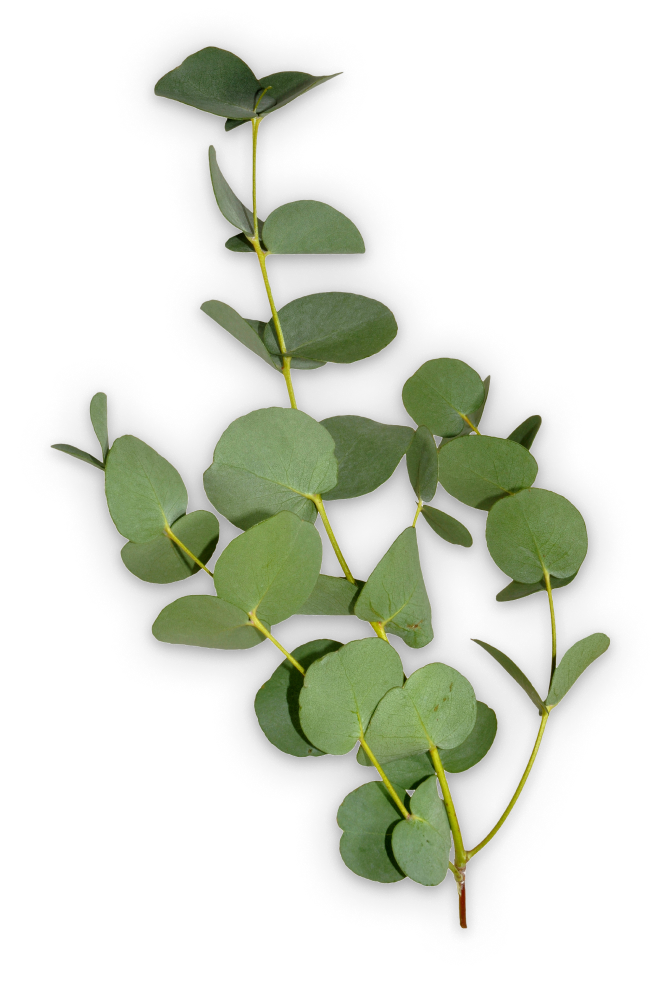 Кухни на заказ СПБ